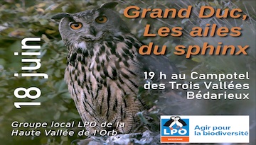 Grand Duc, Les ailes du sphinx